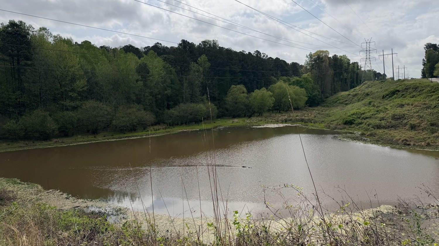 Southwest Atlanta's proposed Falling Water Park would open hidden forest and lake - Axios Atlanta