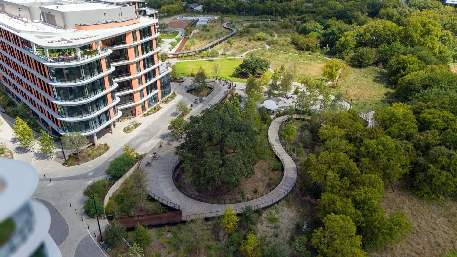 Springdale Green - Austin